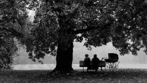 Задник до фильму"" #601189