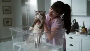 Задник до фильму"Дев’ять життів" #481409