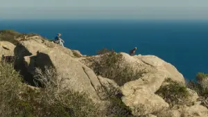 Задник до фильму"" #732025