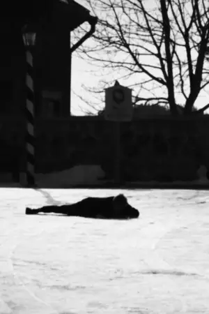 Постер до фильму"Iš Lietuviško Miestelio 1926 Kovo 11" #781165