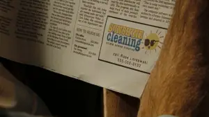 Задник до фильму"Чищення до блиску" #610158