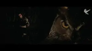 Задник до фильму"Прокол" #505025