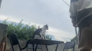 Задник до фильму"" #200746