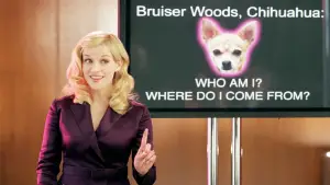 Задник до фильму"Білявка в законі 2" #673083