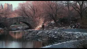 Задник до фильму"Сам удома 2: Загублений у Нью-Йорку" #567012