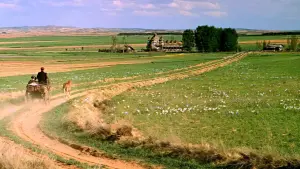 Задник до фильму"Доктор Живаго" #209162