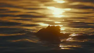 Задник до фильму"" #745773