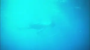 Задник до фильму"リリイ・シュシュのすべて" #788209