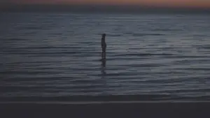 Задник до фильму"Лев" #750734