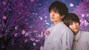 Задник до фильму"Моє кохання мов квітка сакури" #327597