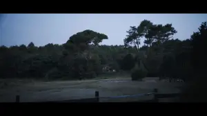 Задник до фильму"" #543936