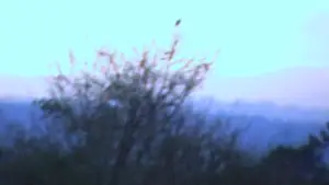 Задник до фильму"I BURNT MY BRAIN FOR YOU" #782268