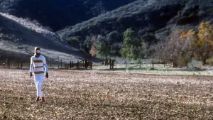 Задник до фильму"Безпека" #394787