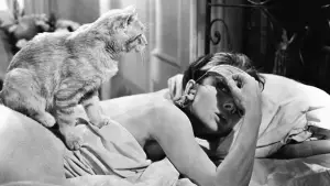 Задник до фильму"Сніданок у Тіффані" #648632