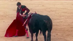 Задник до фильму"Вечори самоти" #675280