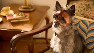 Задник до фильму"Талановитий містер Пес" #683134