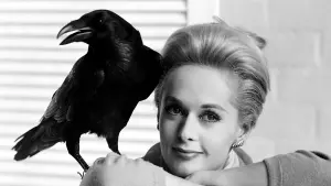 Задник до фильму"Птахи" #209980