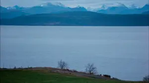 Задник до фильму"Осіння соната" #645066