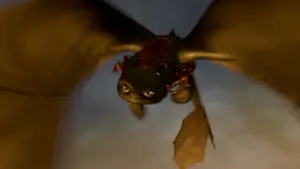 Задник до фильму"Як приборкати дракона" #581367