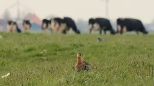 Задник до фильму"" #312200