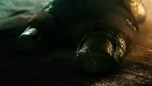 Задник до фильму"Підлітки-мутанти. Черепашки-ніндзя" #801229