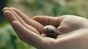 Задник до фильму"" #539050