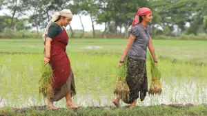 Задник до фильму"பைசன் காளமாடன்" #786327