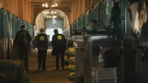 Задник до фильму"" #740987