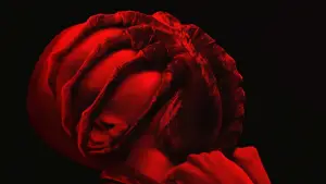 Задник до фильму"Чужий: Ромул" #545952