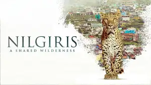 Задник до фильму"Nilgiris - A Shared Wilderness" #919877