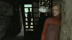 Задник до фильму"Гаррі Поттер та смертельні реліквії: Частина 2" #555322