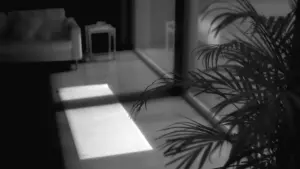 Задник до фильму"" #197627