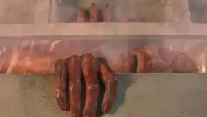 Задник до фильму"Пункт призначення 3" #789854