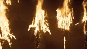 Задник до фильму"Дюна" #529610