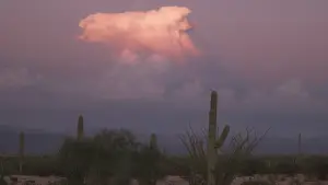 Задник до фильму"" #542318