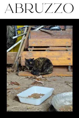 Постер до фильму"" #368649