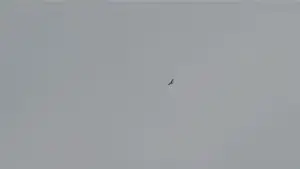 Задник до фильму"Гамнет" #795811