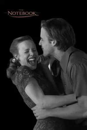 Постер до фильму"Щоденник пам’яті" #473425