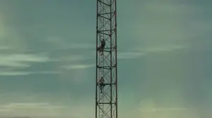 Задник до фильму"Над безоднею" #231694