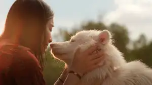 Задник до фильму"โกฮัง..หัวใจโกโฮม" #796484