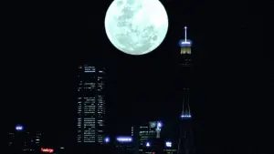 Задник до фильму"" #491982