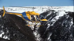 Задник до фильму"Поліцейська історія 4: Перший удар" #810435