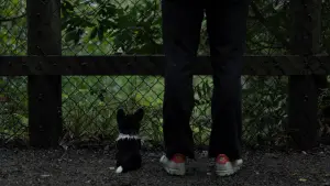 Задник до фильму"" #491603