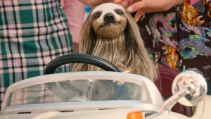 Задник до фильму"" #430723