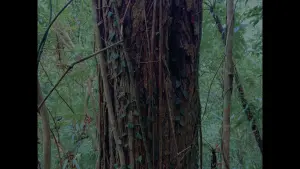 Задник до фильму"" #415691