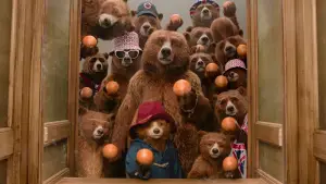 Задник до фильму"Пригоди Паддінґтона в Перу" #567559