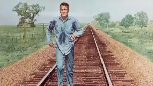 Задник до фильму"Холоднокровний Люк" #188456