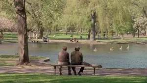 Задник до фильму"Розумник Вілл Хантінг" #579862