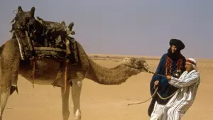 Задник до фильму"" #460576