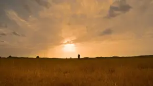 Задник до фильму"മലൈക്കോട്ടൈ വാലിബന്‍" #759025